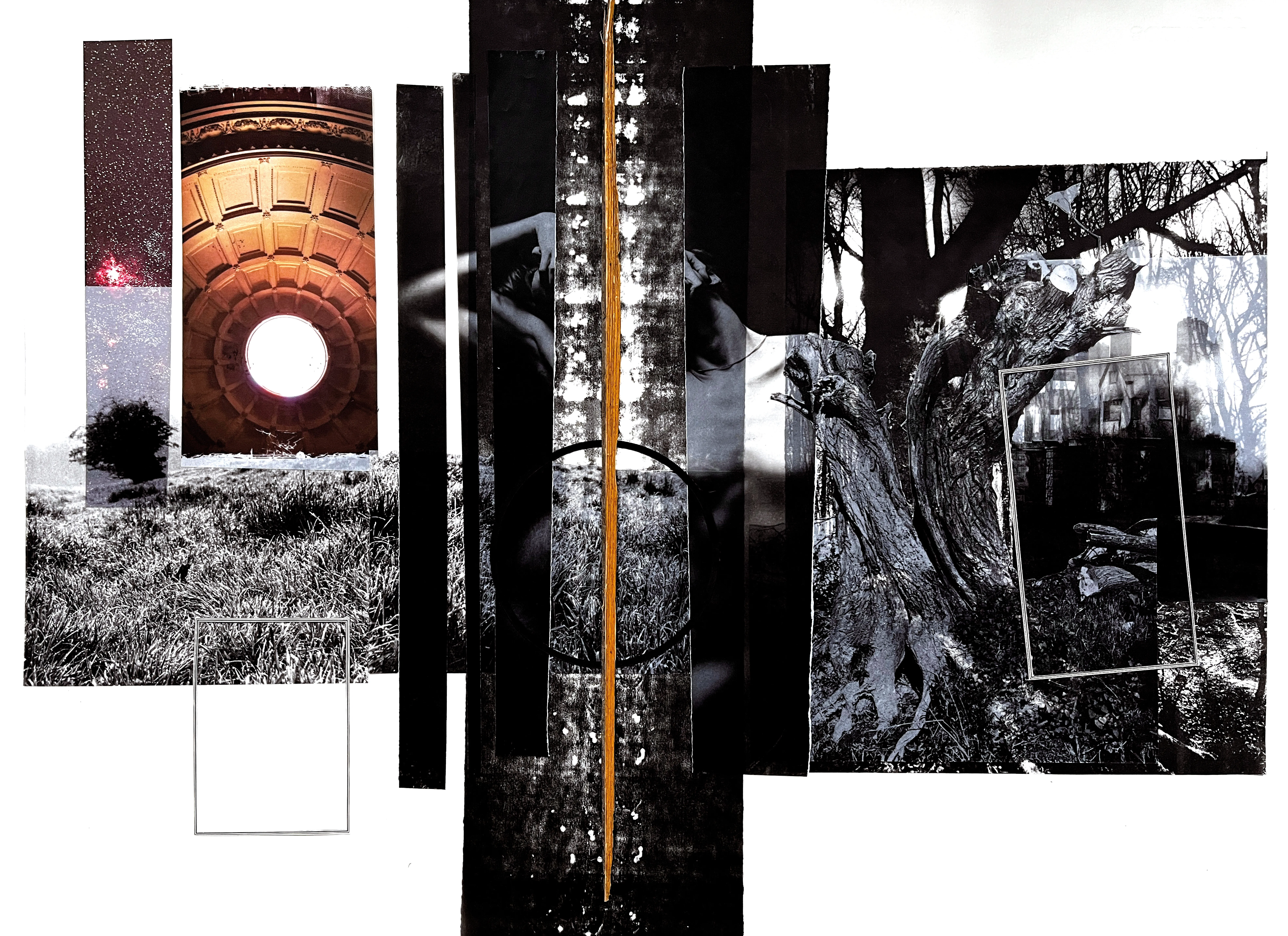 Borrowed Blood, work 001
