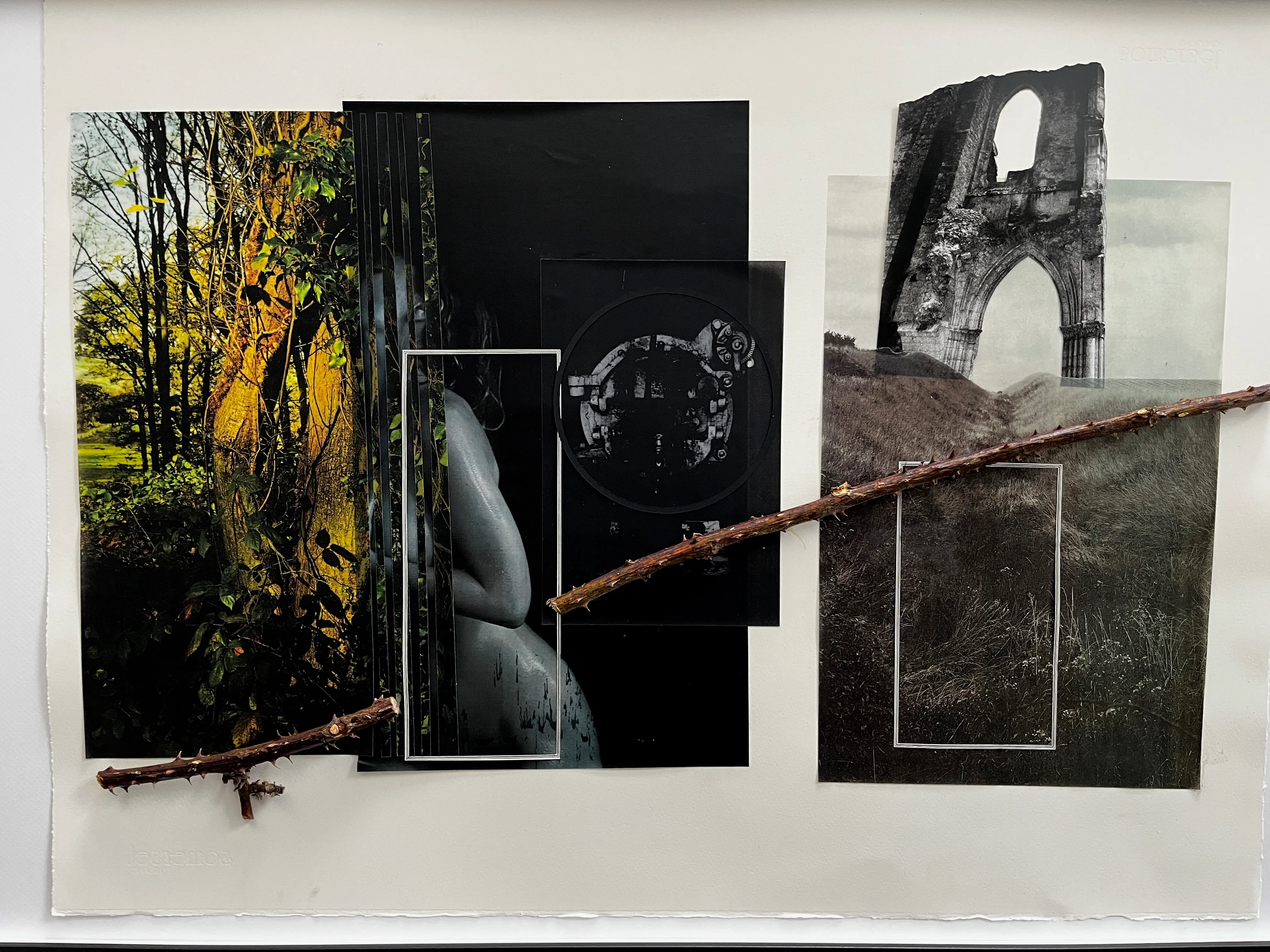 Borrowed Blood, work 005