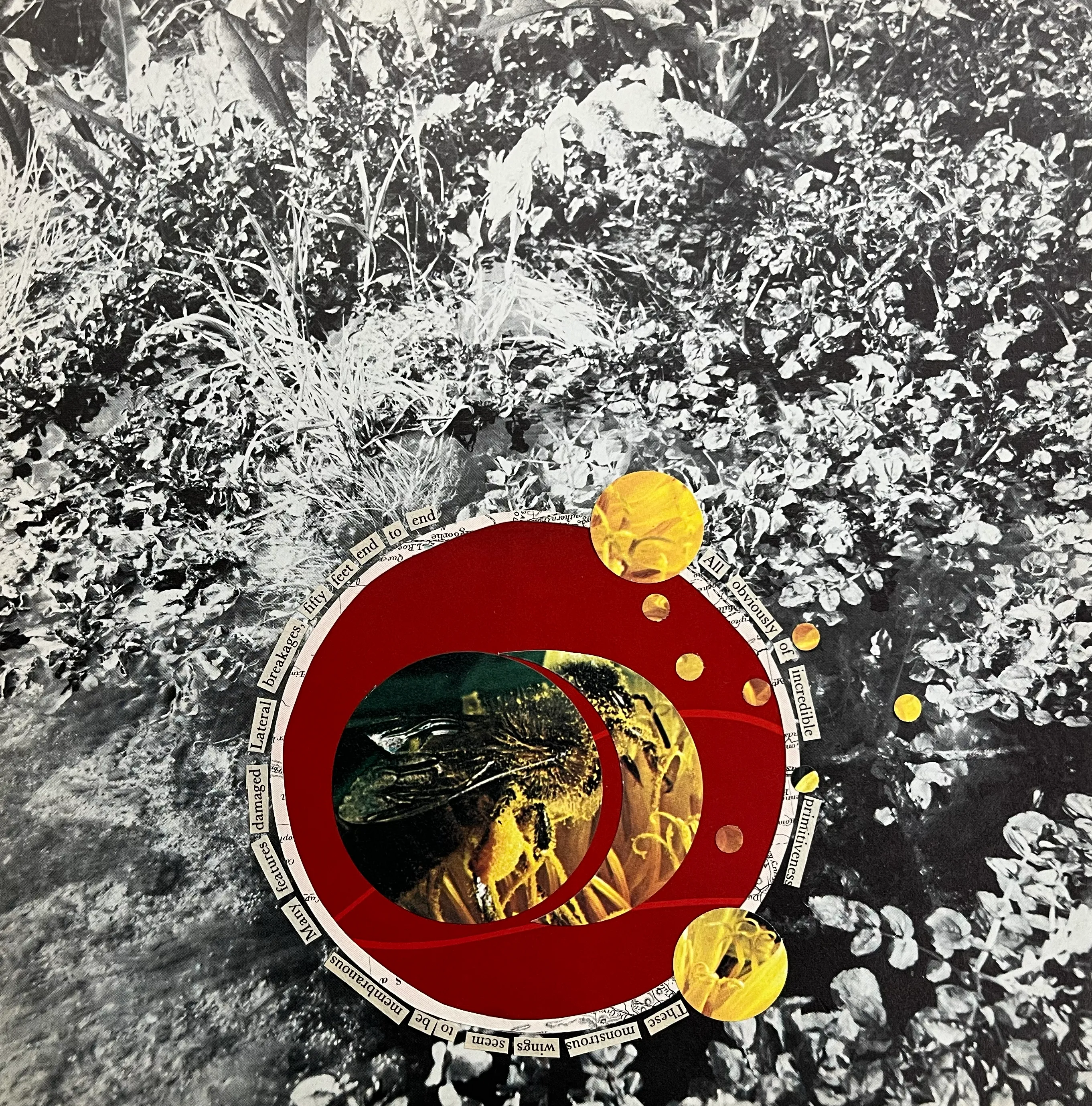 Cosmic, work 013