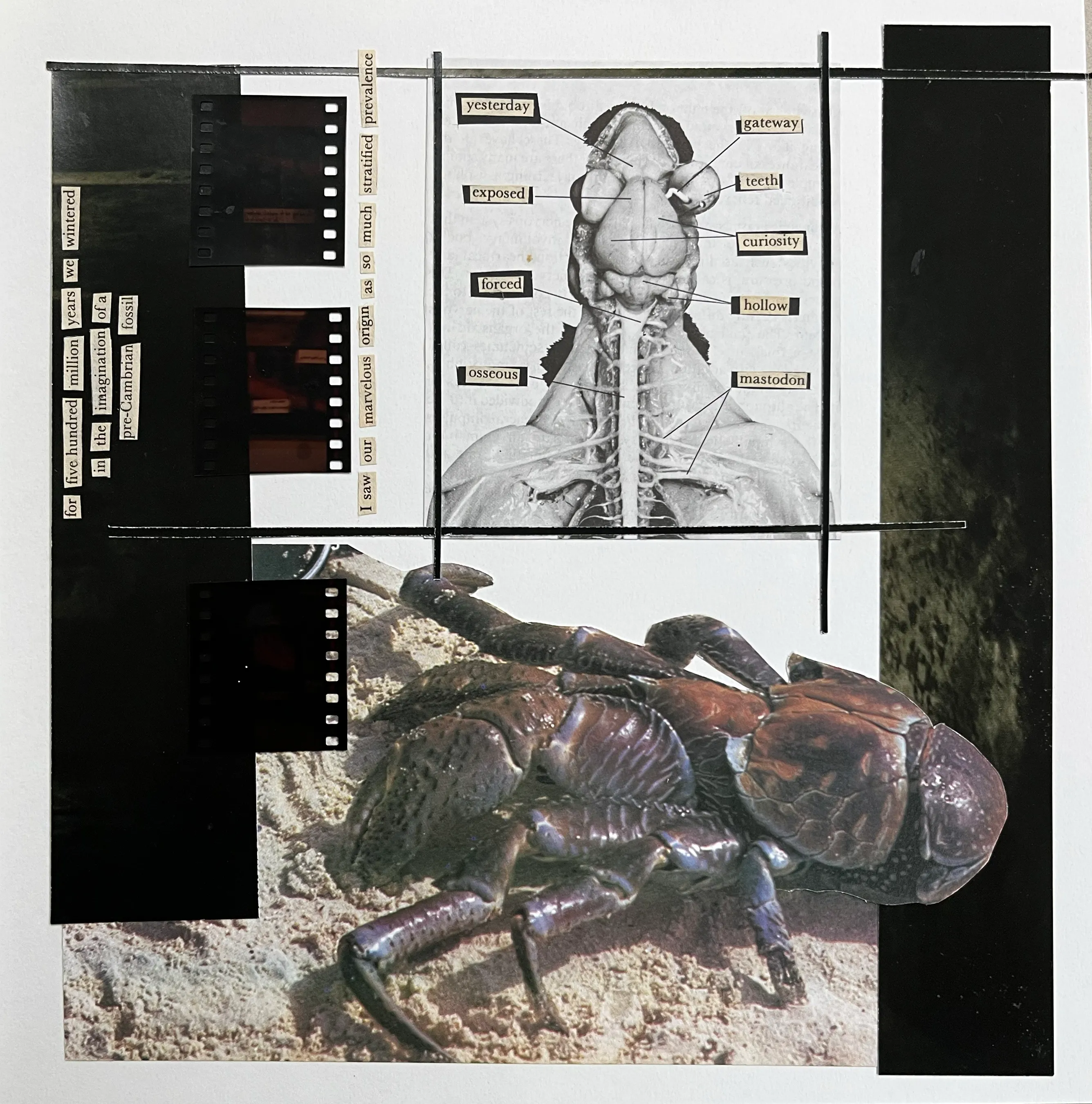 Cosmic, work 015