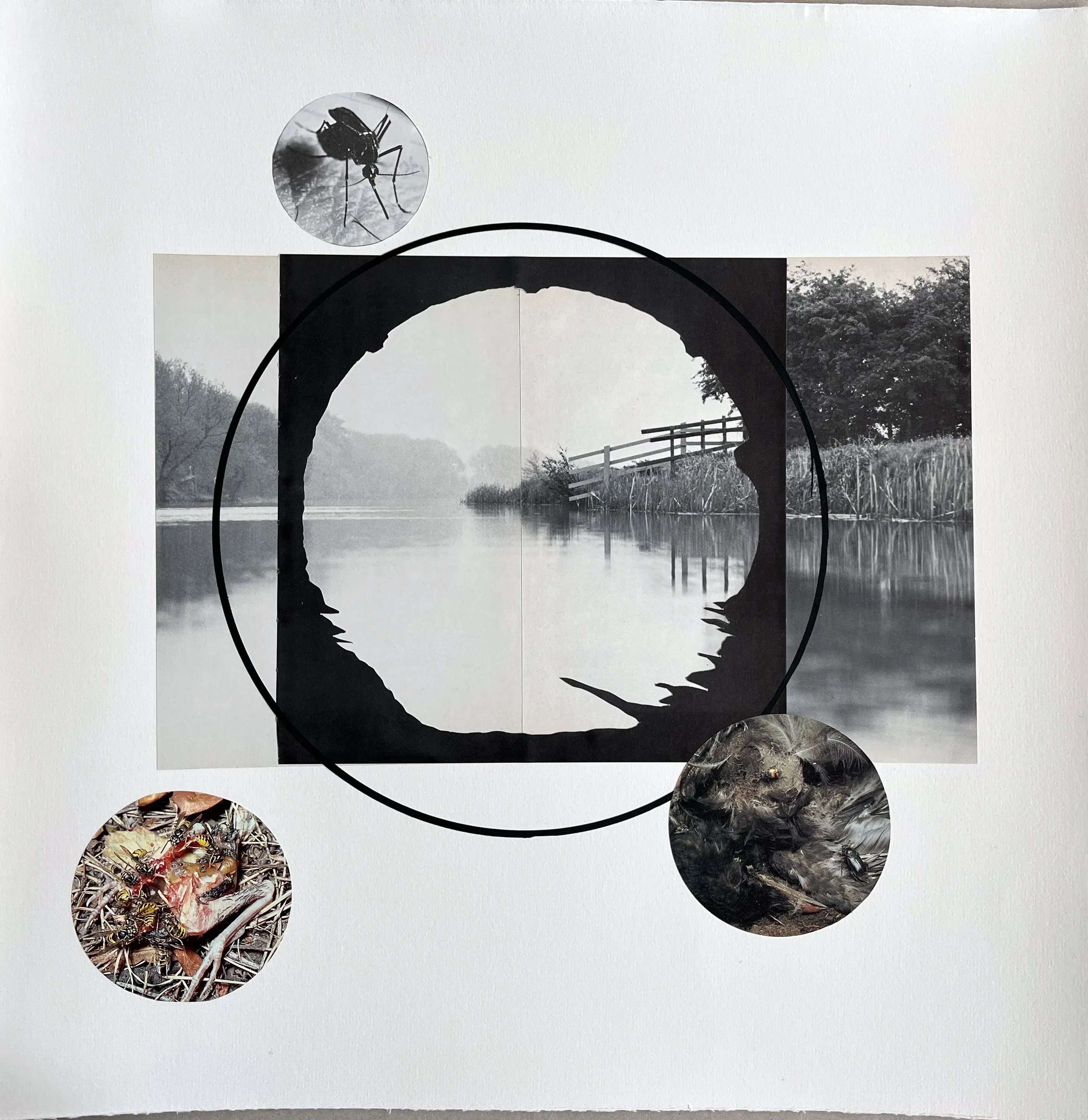 Folk Horror, work 004