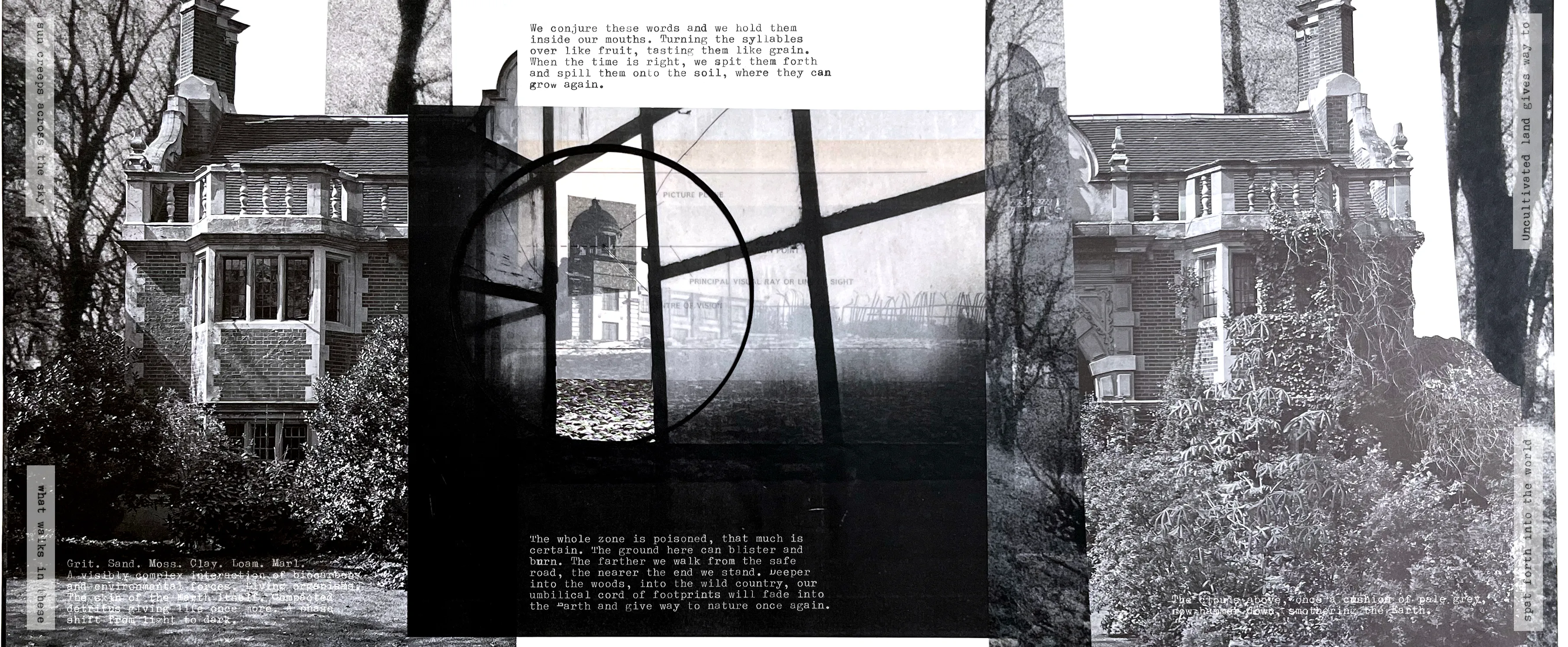 From Bitter Ground, work 013