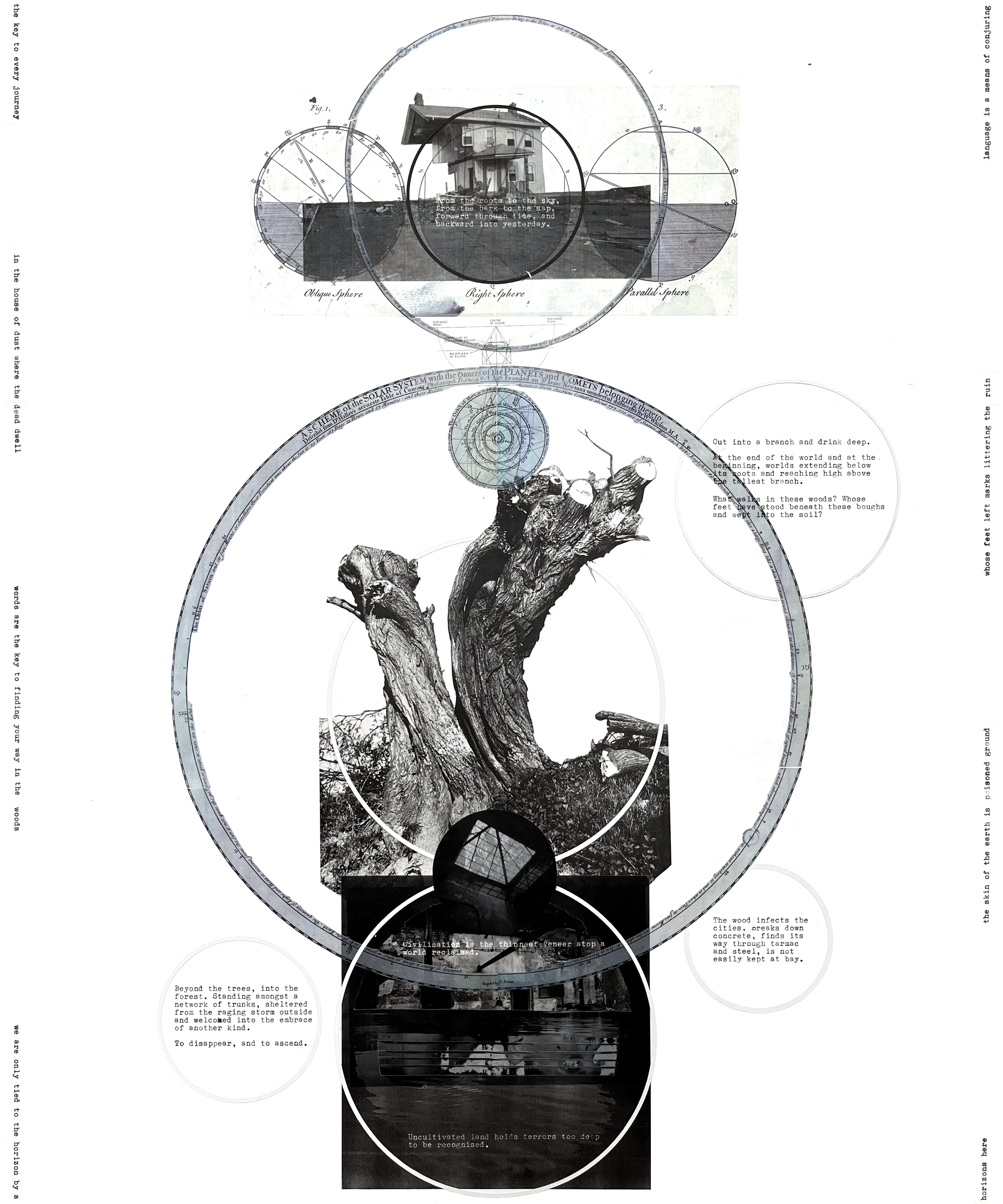 From Bitter Ground, work 016