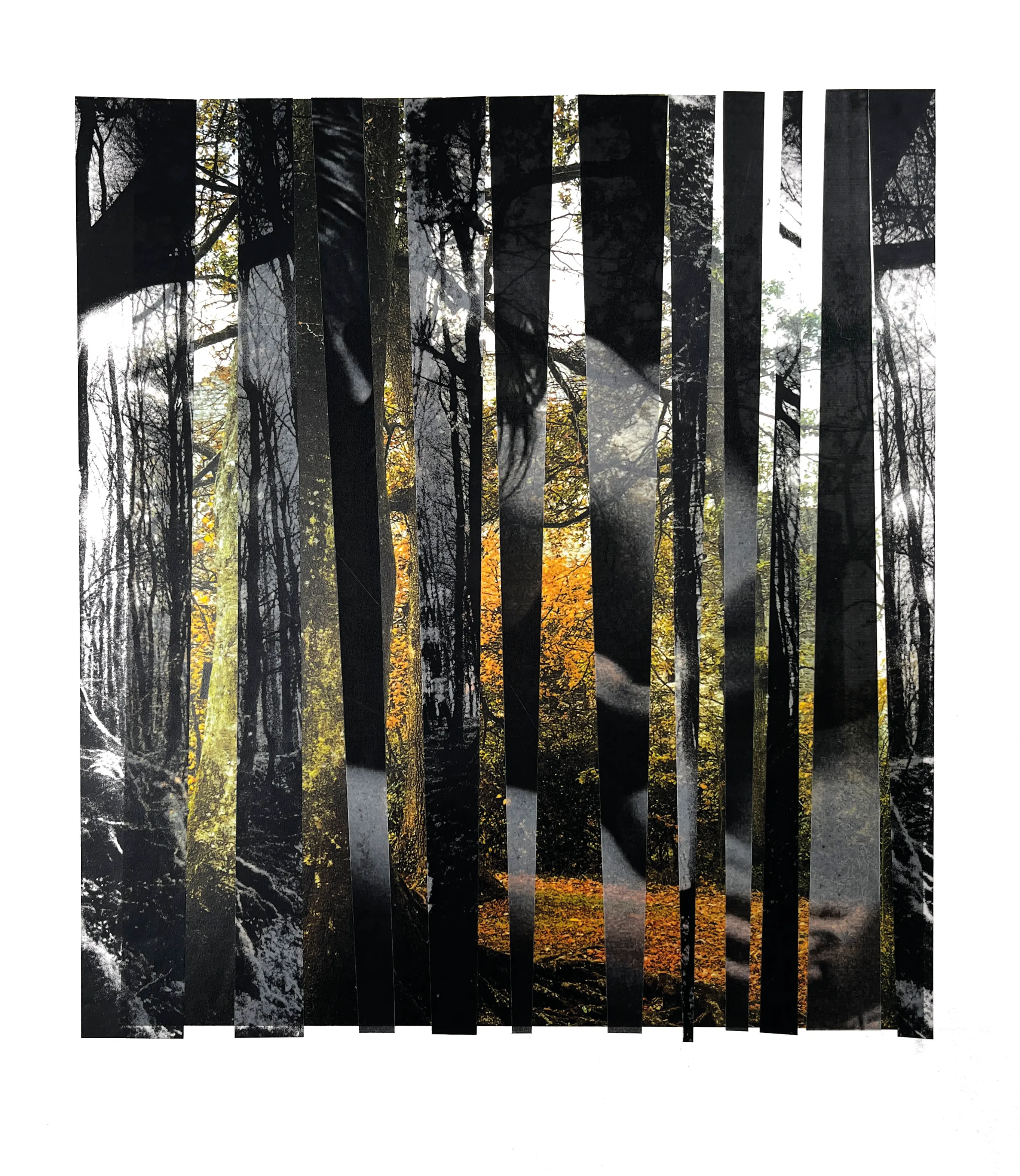 Undercurrents, work 003