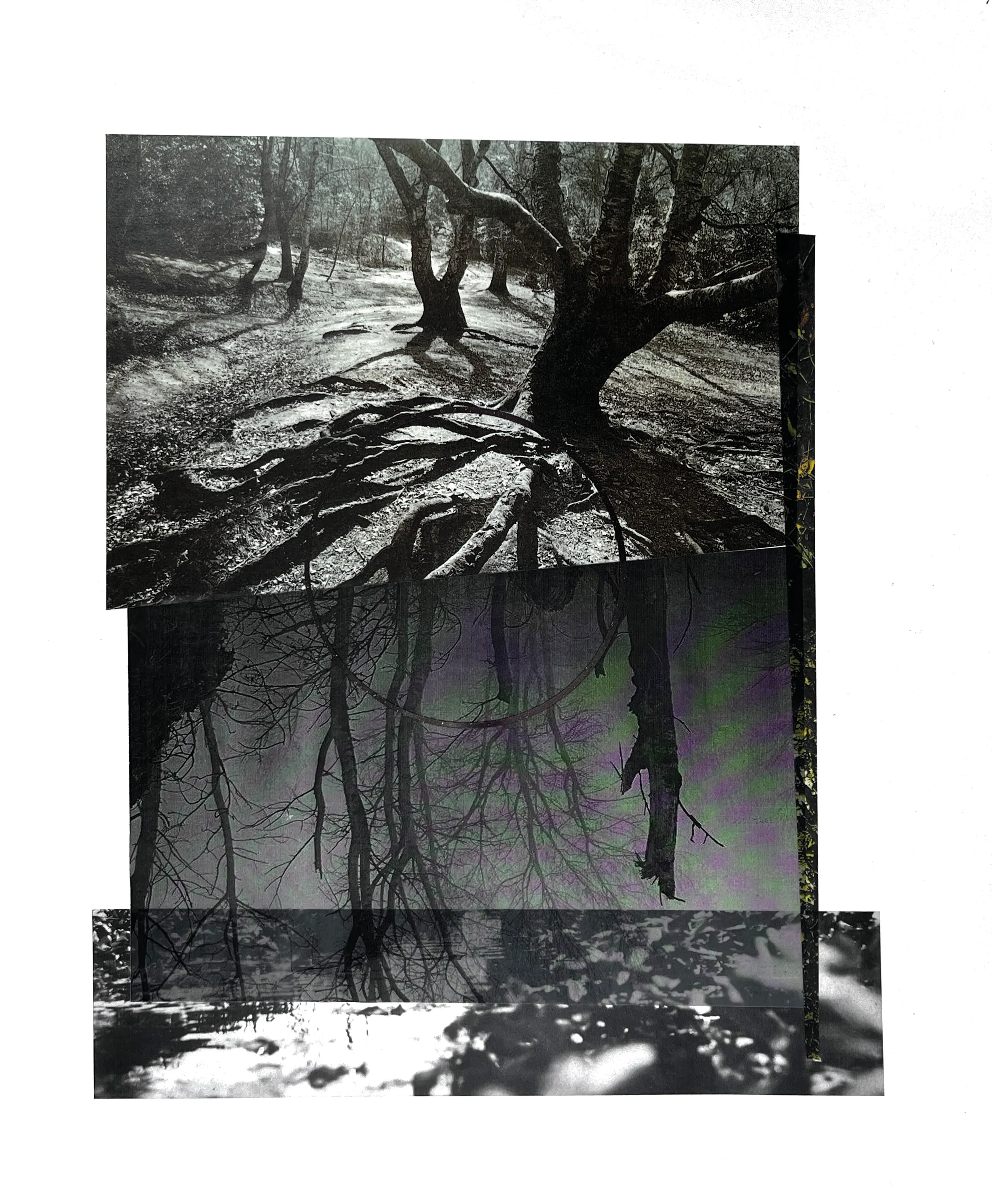 Undercurrents, work 017