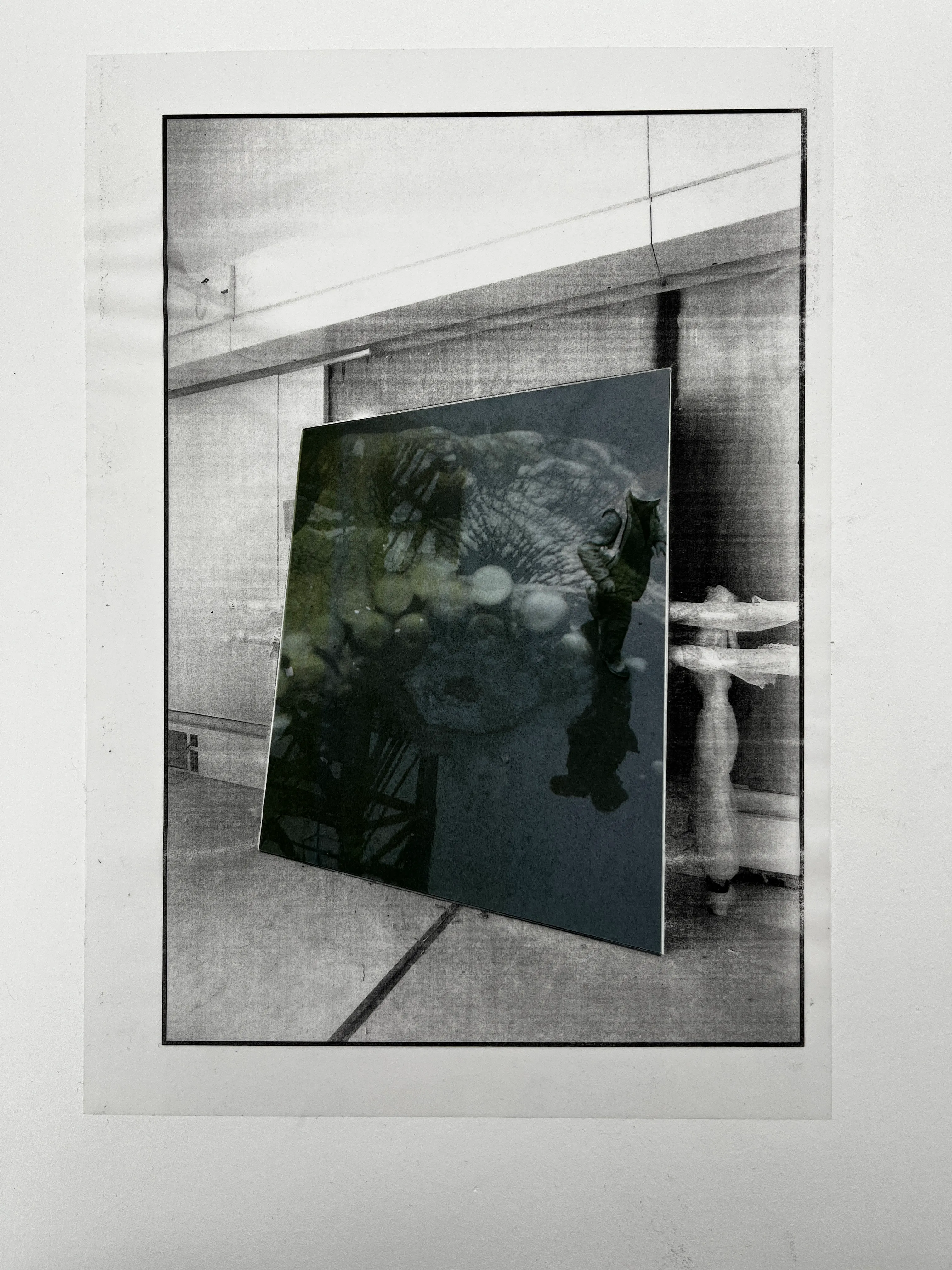 Whiteout, work 024